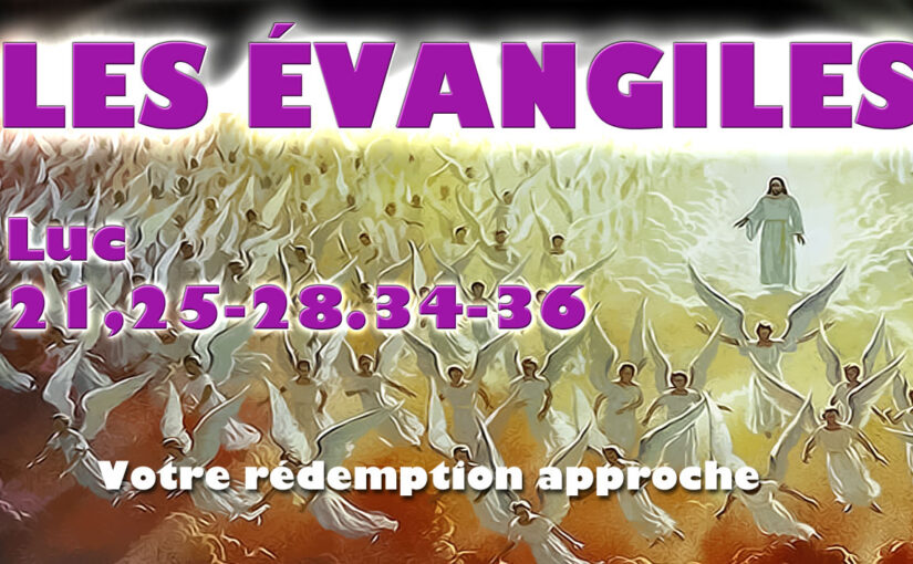 Samedi de la 34ème semaine du temps ordinaire