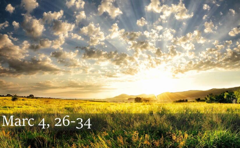 Vendredi de la 3ème semaine du temps ordinaire – 30 janvier 2026