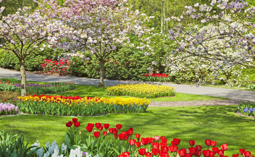 Le Carême comme un printemps