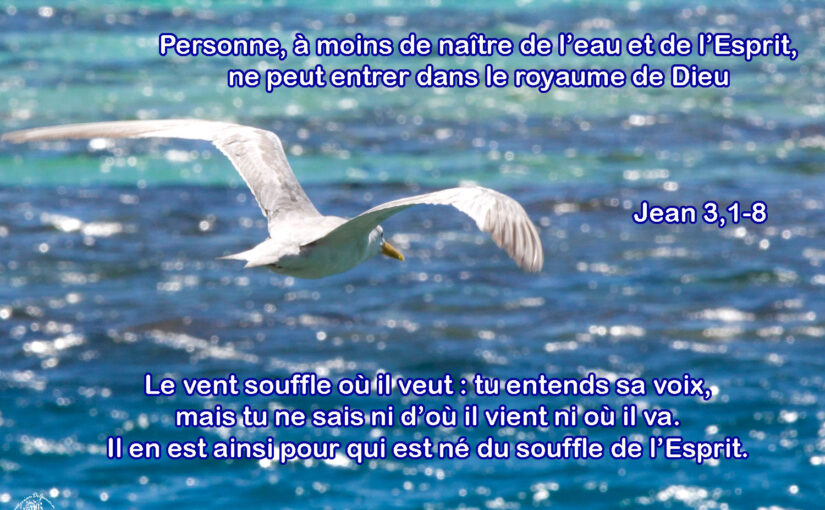 Lundi de la 2ème semaine de Pâques 2026