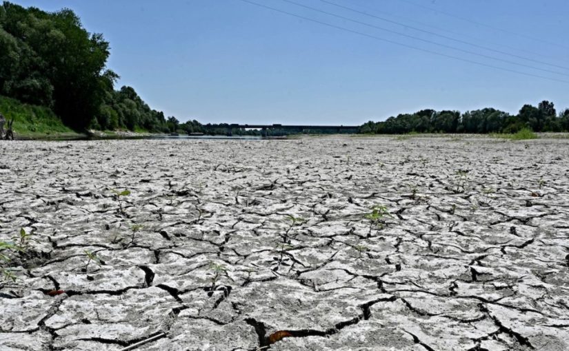 La canicule…